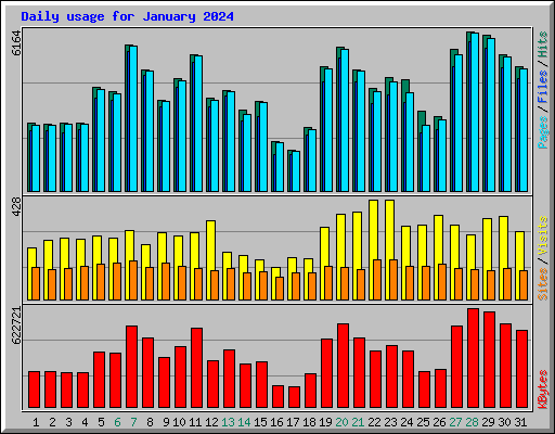 Daily usage for January 2024