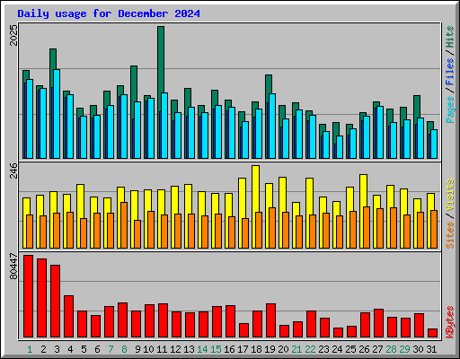 Daily usage for December 2024