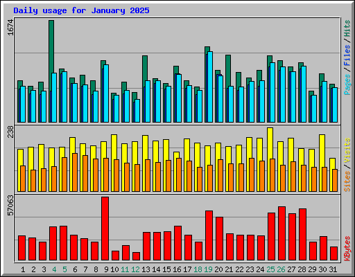 Daily usage for January 2025
