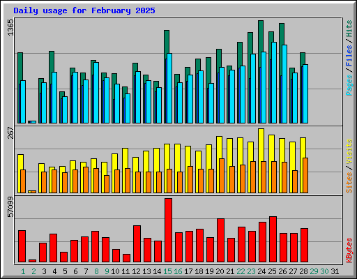 Daily usage for February 2025