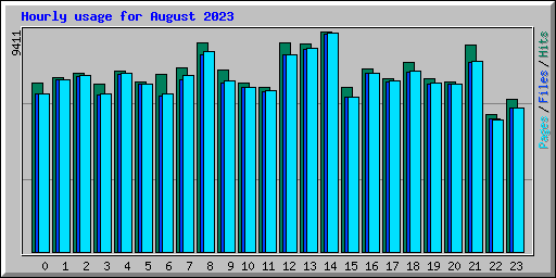 Hourly usage for August 2023