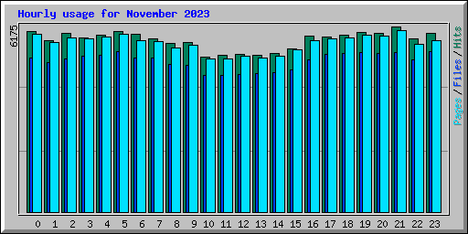 Hourly usage for November 2023