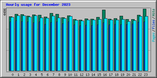 Hourly usage for December 2023