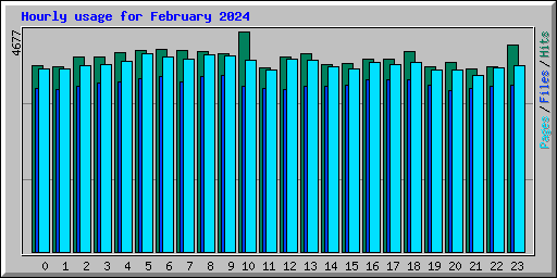Hourly usage for February 2024