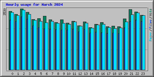 Hourly usage for March 2024