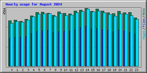 Hourly usage for August 2024