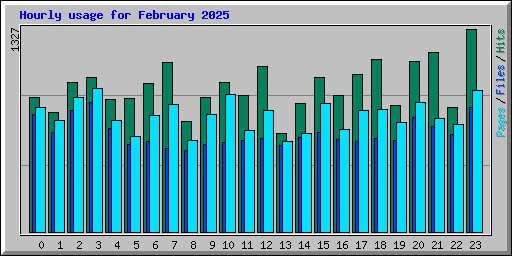 Hourly usage for February 2025