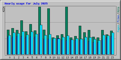 Hourly usage for July 2025