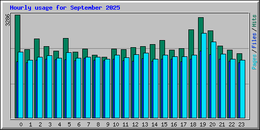 Hourly usage for September 2025