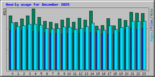 Hourly usage for December 2025