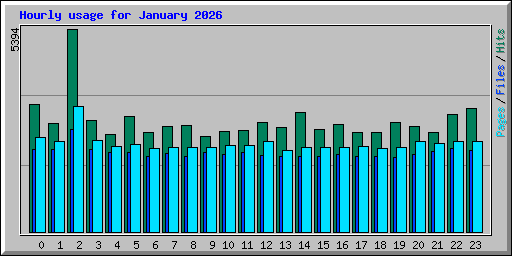 Hourly usage for January 2026