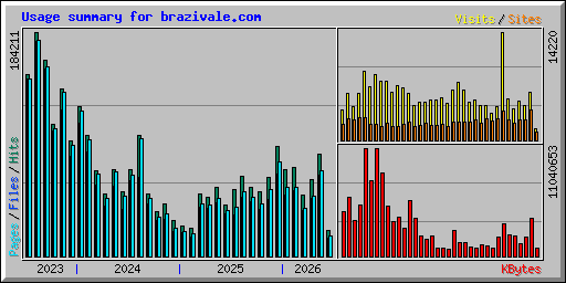 Usage summary for brazivale.com